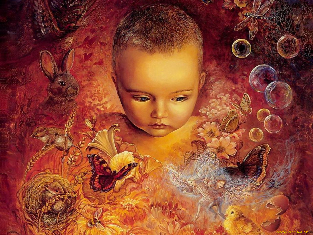 , josephine, wall
